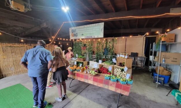 Preliminary Design Options for a Fresh Food Retail Market
