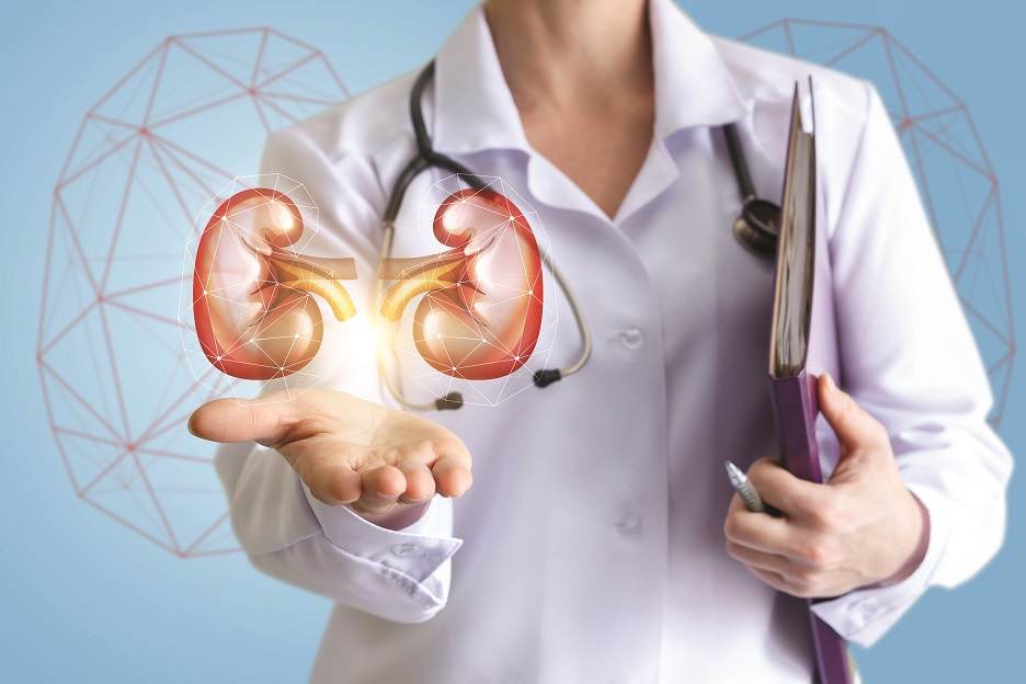 5 Rare Kidney Diseases You May Not Know About 