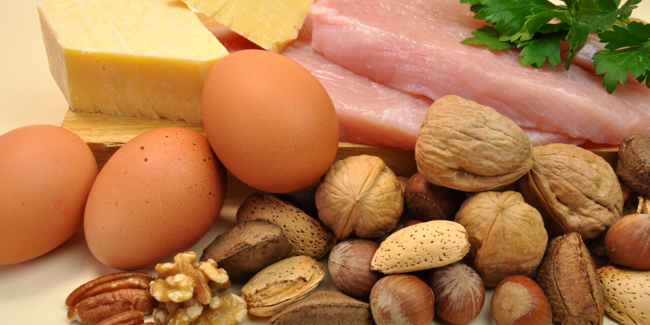 7 Reasons You Need Protein Daily