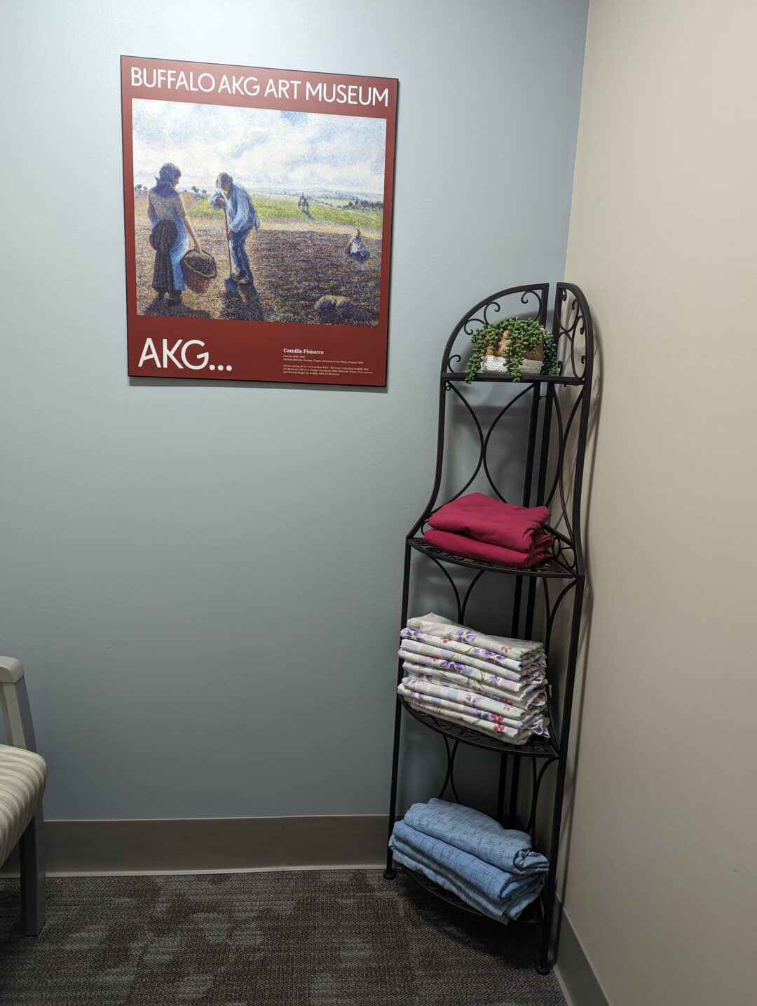 A More Personalized Welcoming Breast Imaging Center - Buffalo Healthy ...