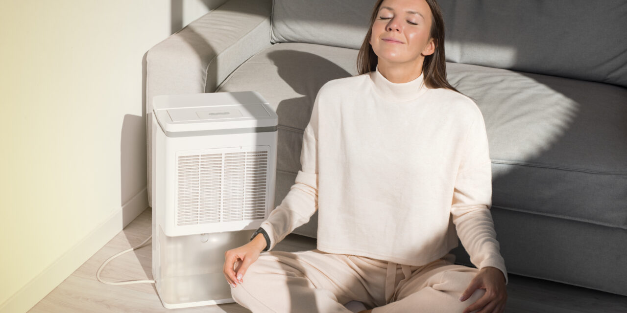 Are Air Purifiers Worth It?