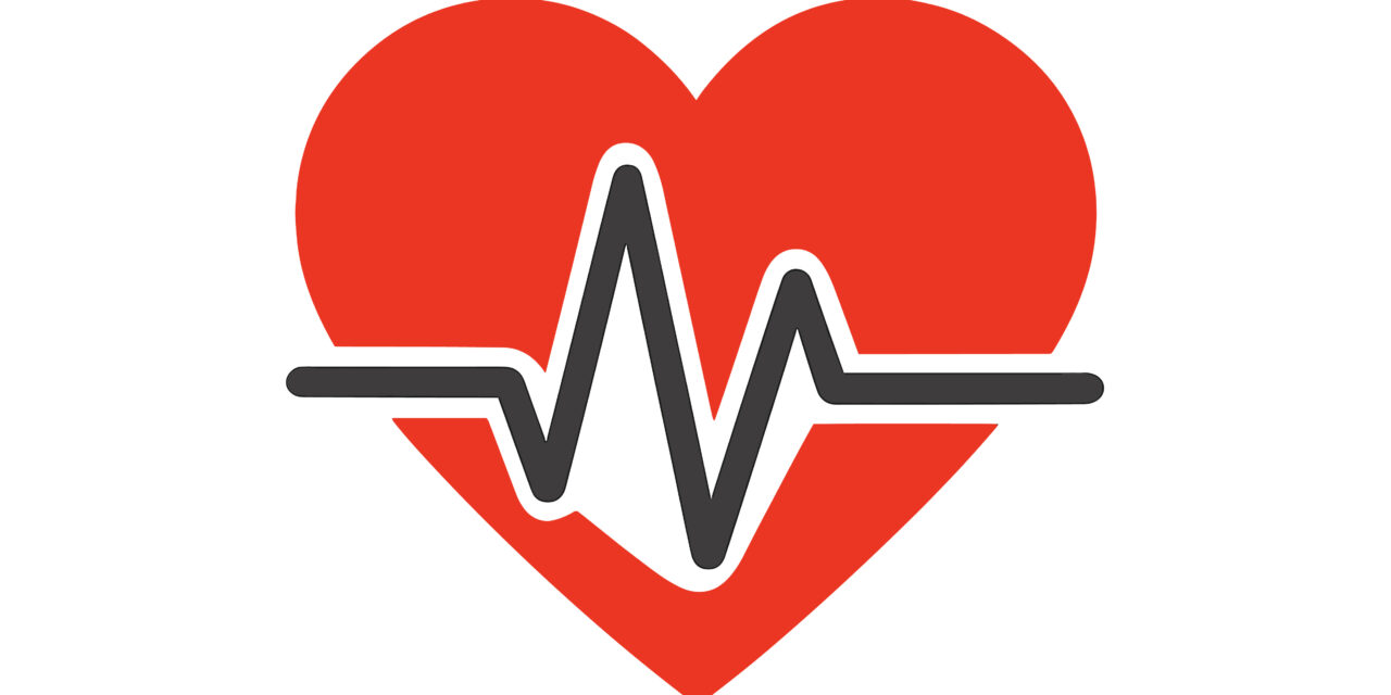 Assessing Heart Health with a Heart Sound Recorder