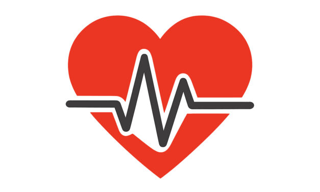 Assessing Heart Health with a Heart Sound Recorder