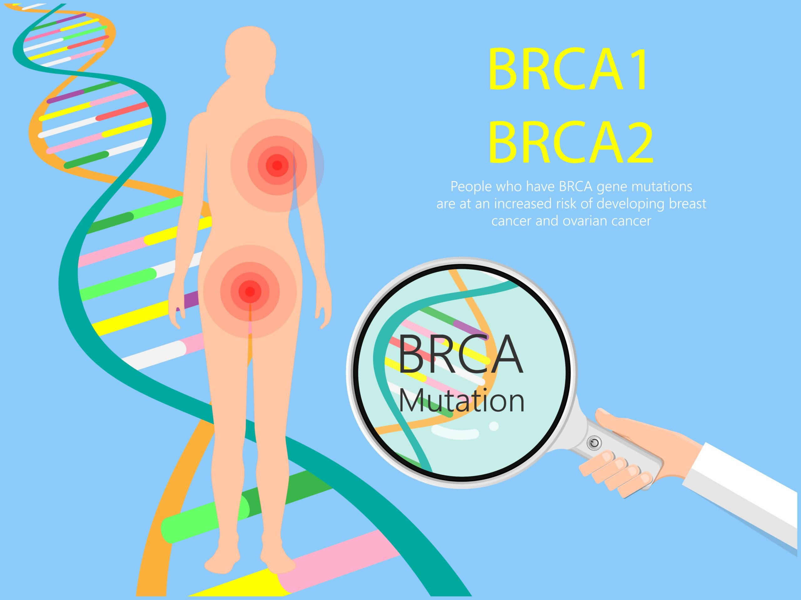 BRCA1 and BRCA2 Genes and Breast Cancer