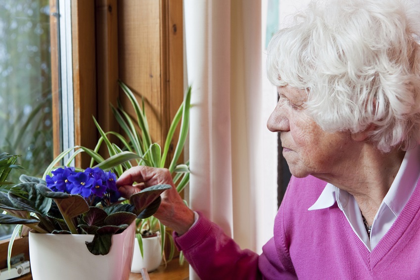 Beat the Winter Blues: Stay Connected and Healthy  