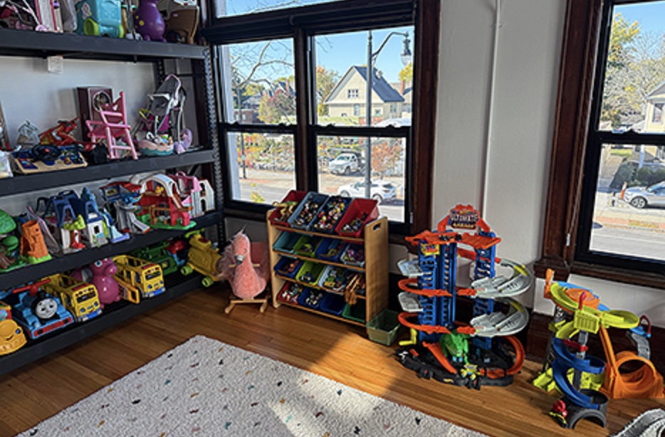 Check Out the Buffalo Toy Library! 