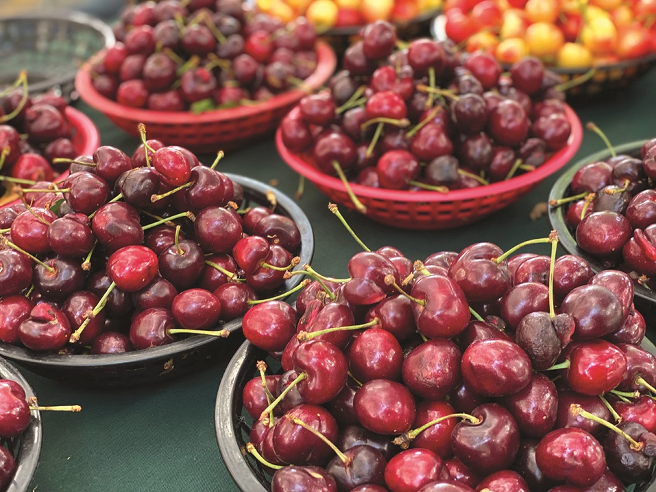 Cherries Offer Some Sweet Perks  