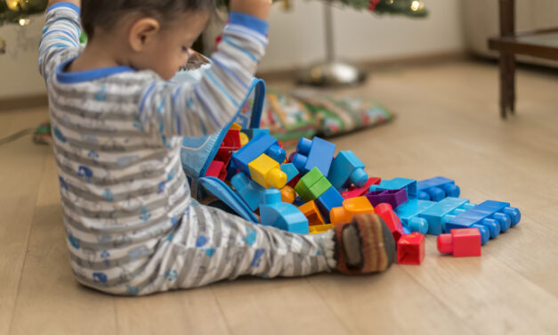 Choose Safe Toys this Holiday Season