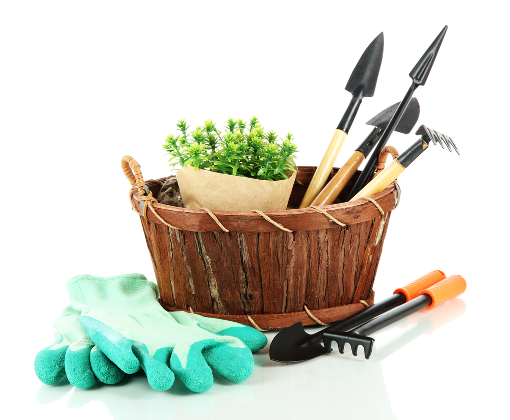 Do You Disinfect Your Garden Tools?