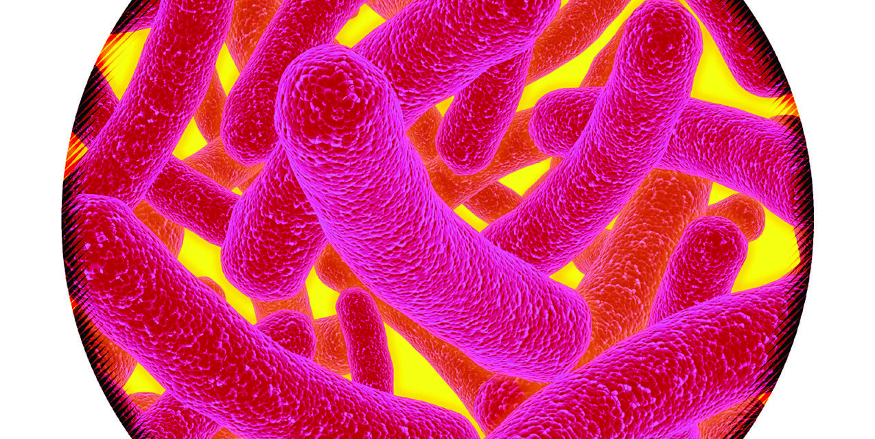 Embracing Germs: They’re Not All Are Bad