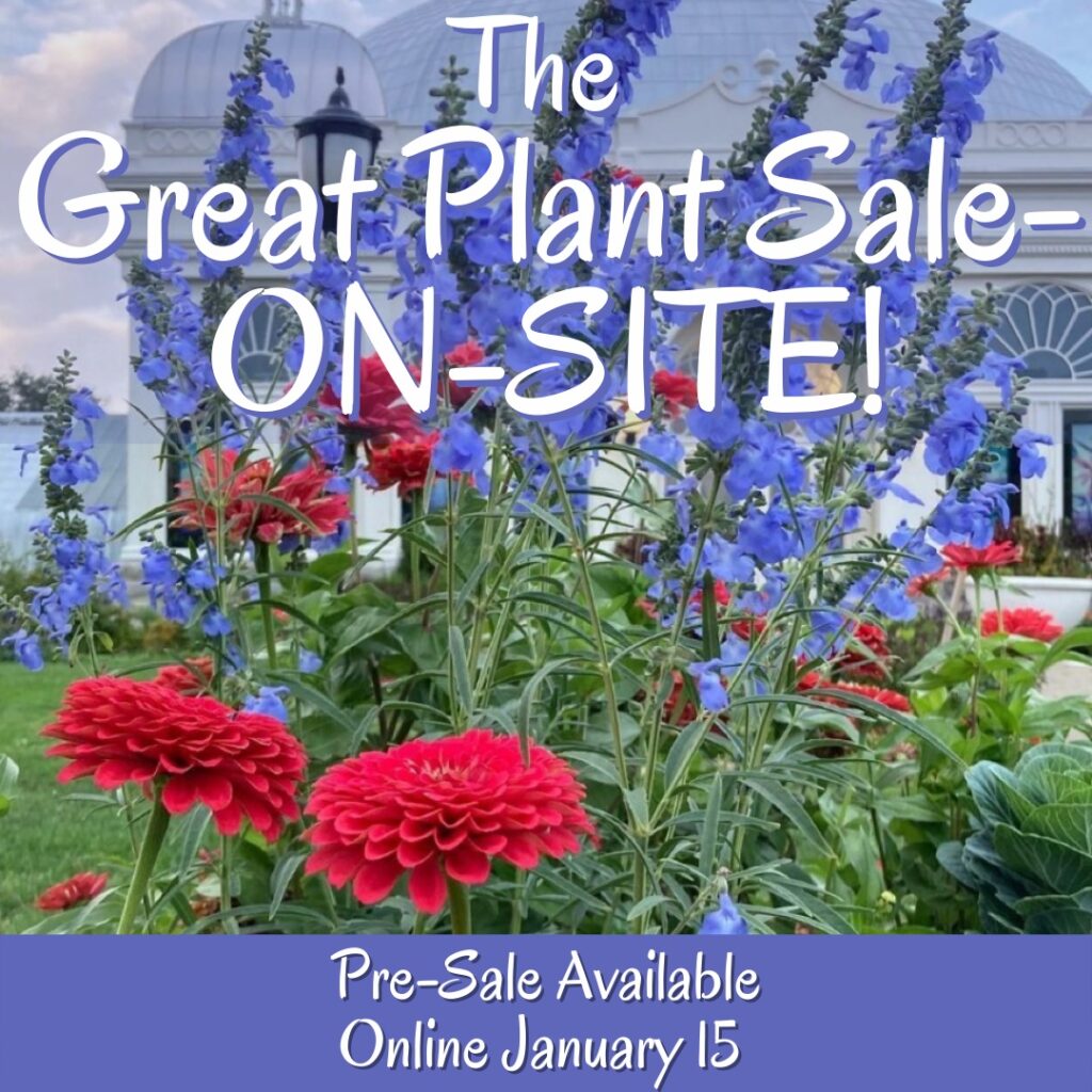 Great Plant Sale 2022 Buffalo Healthy Living Magazine