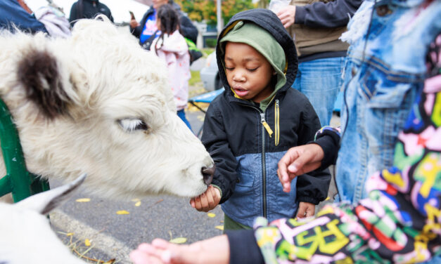 Healing Together and Fall Fest
