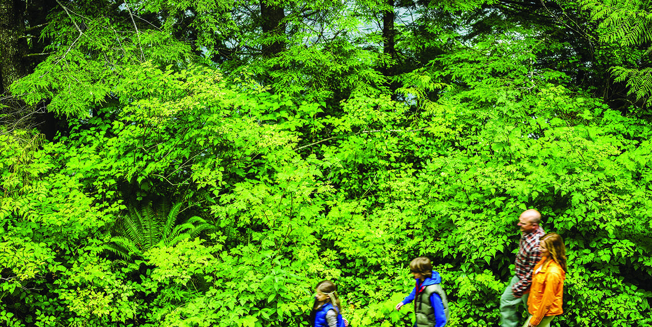 How to Celebrate Earth Day as A Family