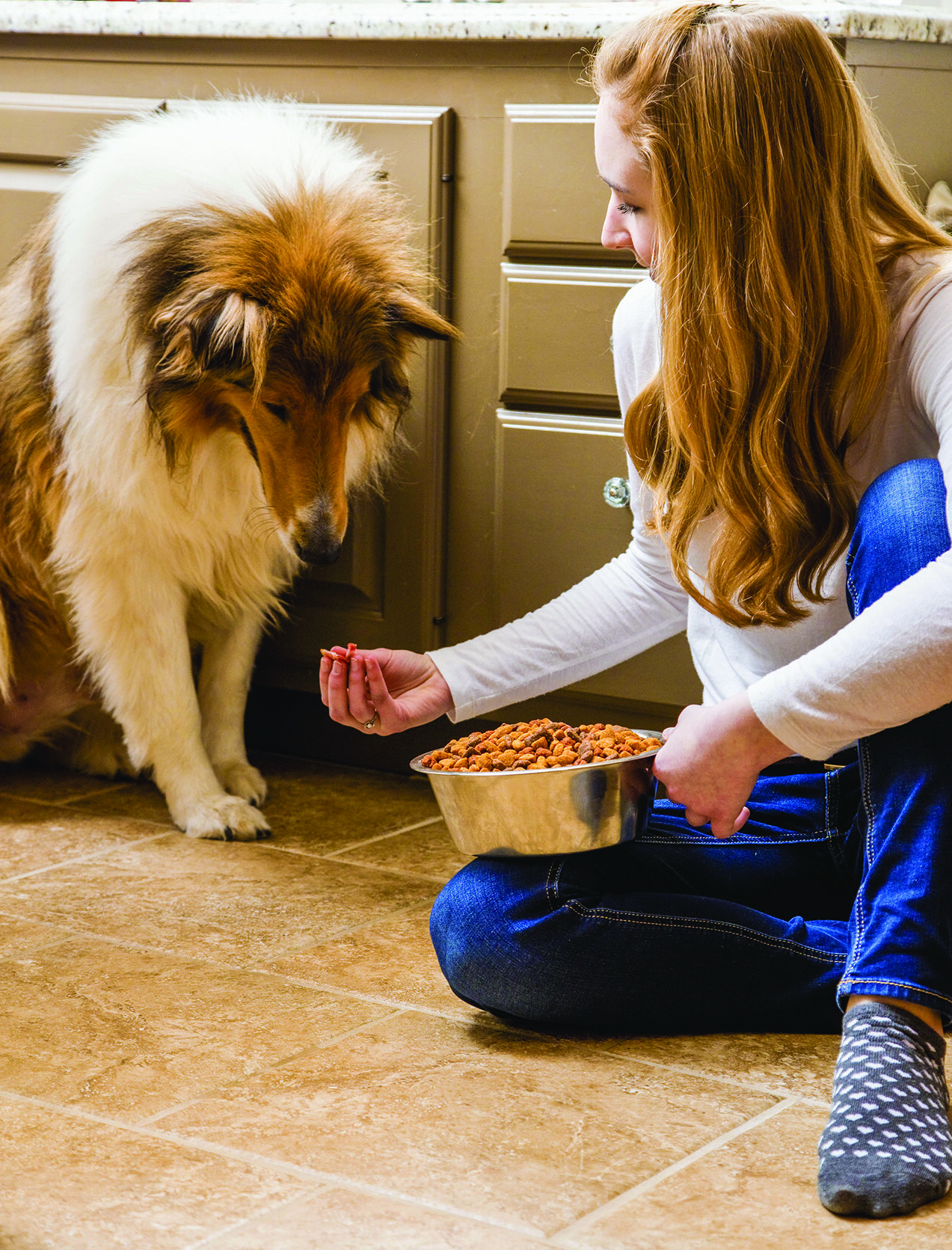 Icky Pooches: Solutions for Finicky Eaters