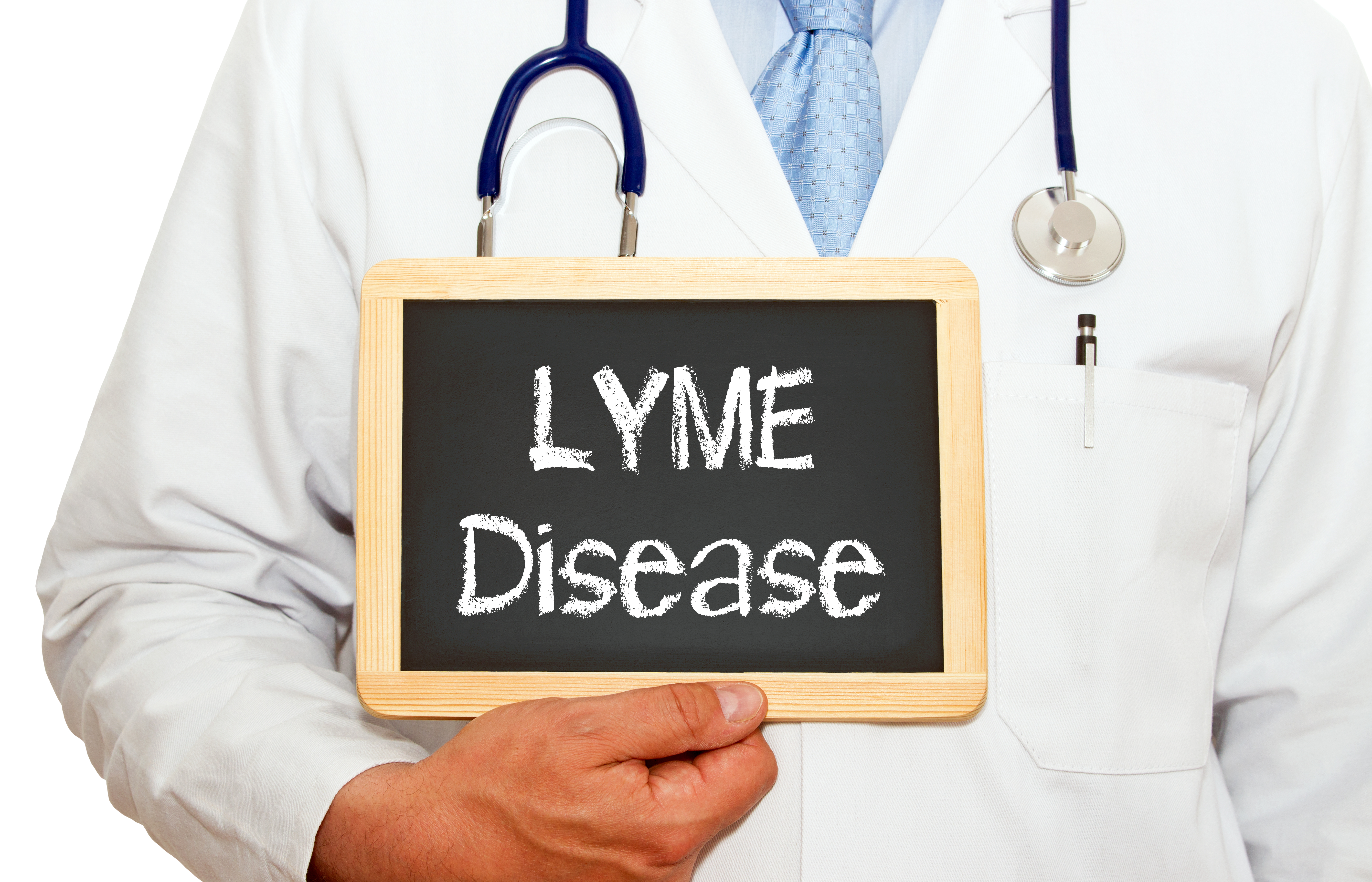 Be Safe Outdoors – What You Need to Know About Lyme disease