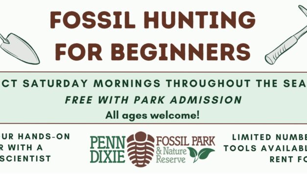 Penn Dixie Fossil Park: WNY’s 380 Million-Year Attraction