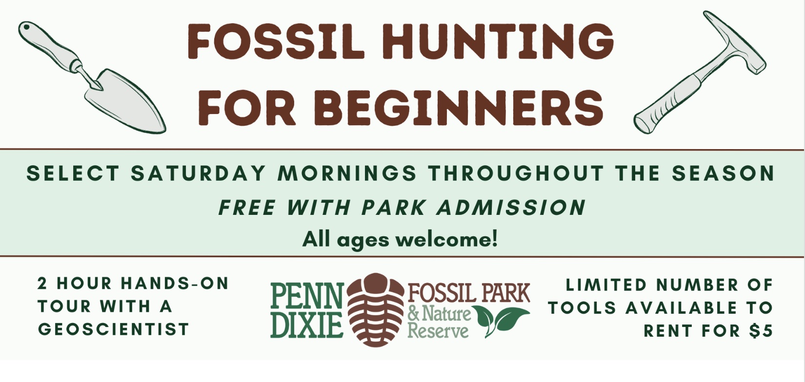 Penn Dixie Fossil Park WNY's 380 MillionYear Attraction Buffalo