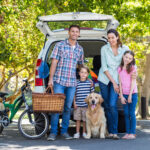 Pet Tips for Road Travel