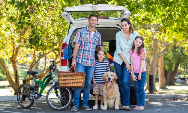 Pet Tips for Road Travel