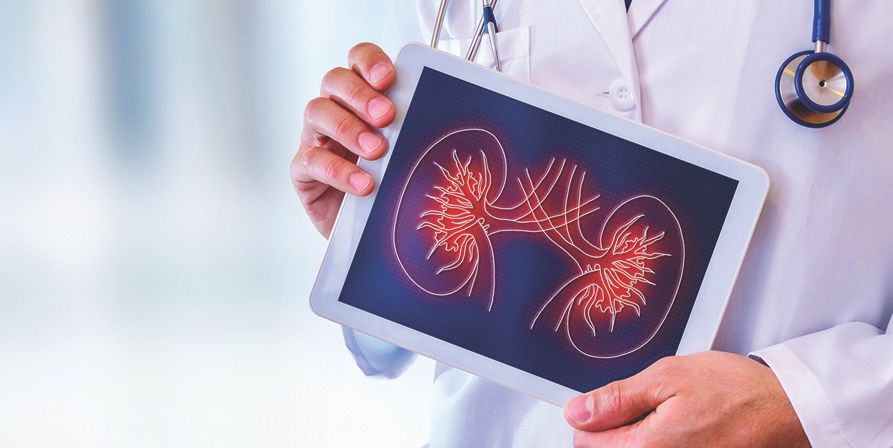 Potential Warning Signs of Kidney Problems