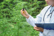 Preparing for Cannabis Licensing