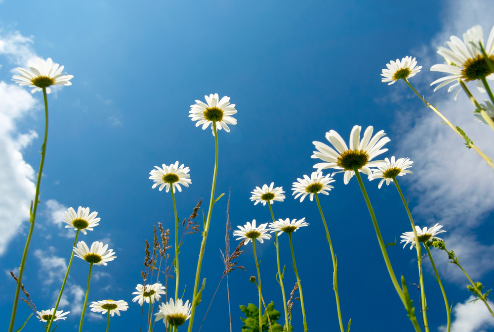 Publisher’s Letter: Welcoming the Energy of Summer