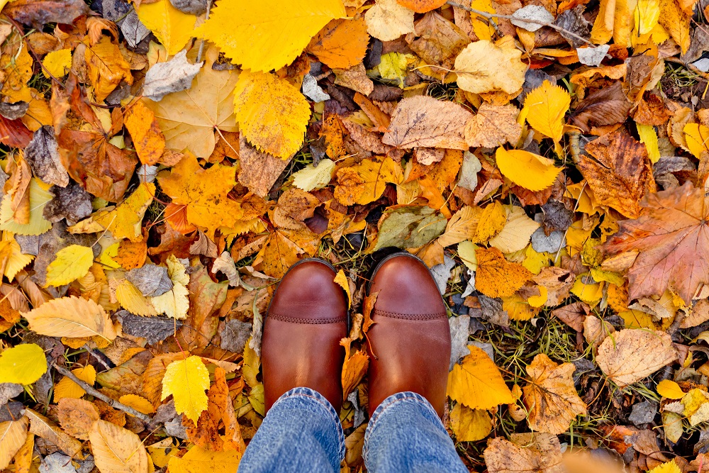 October: A Season of Change 