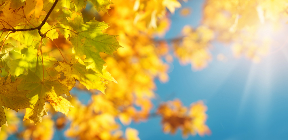 Publisher’s Letter: Welcoming September 