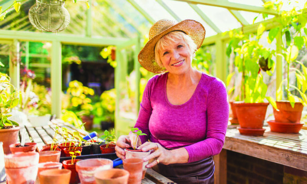 Qualities to Look for in A Post-Retirement Job