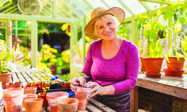 Qualities to Look for in A Post-Retirement Job