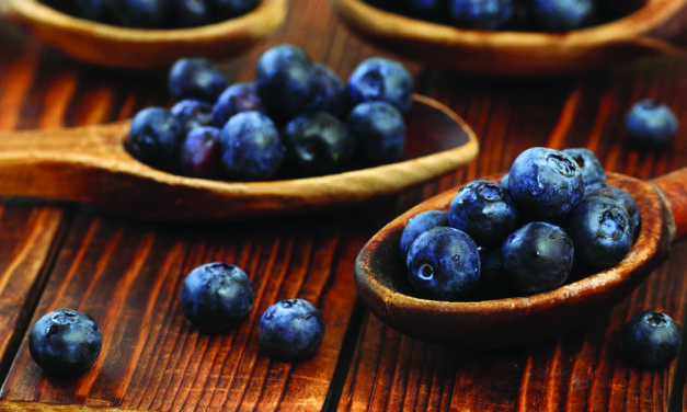 Some Surprising Benefits of Blueberries