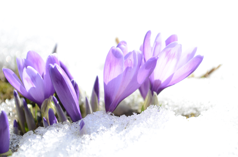 March 2026 Publisher’s Letter