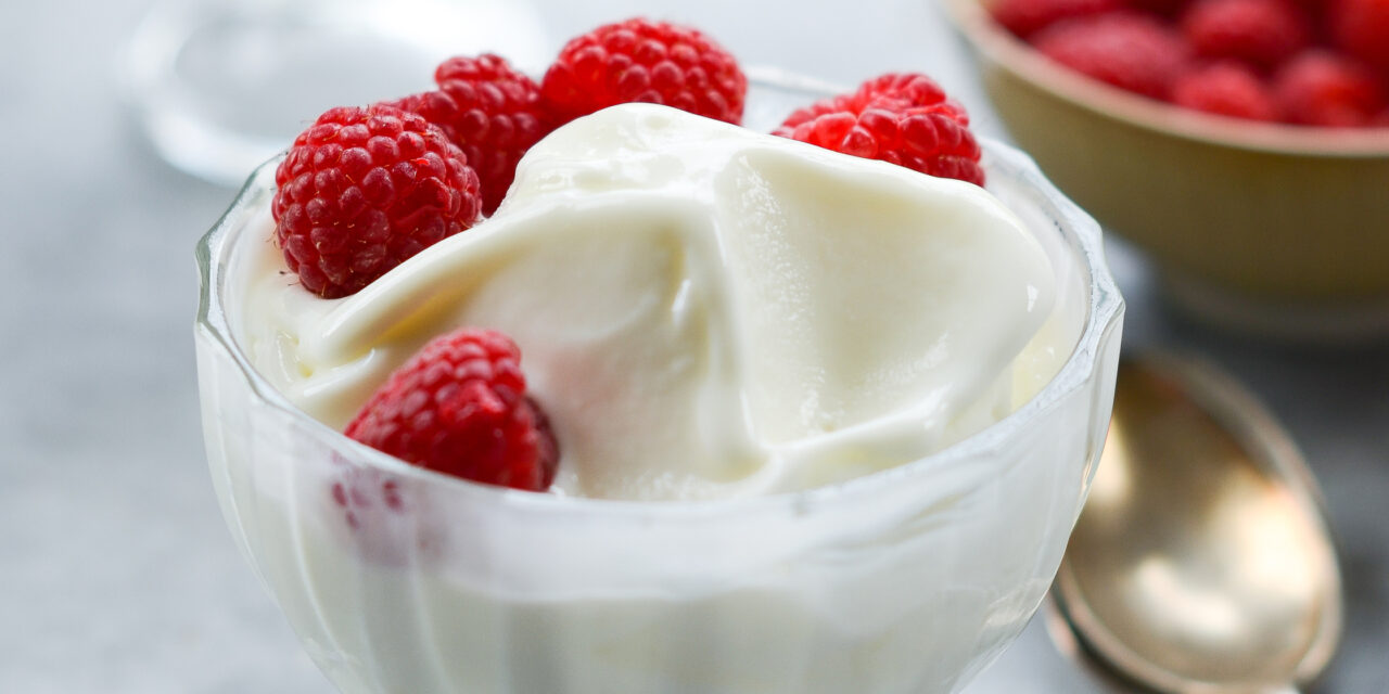 Tart Frozen Yogurt Recipe