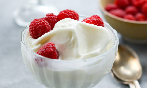 Tart Frozen Yogurt Recipe