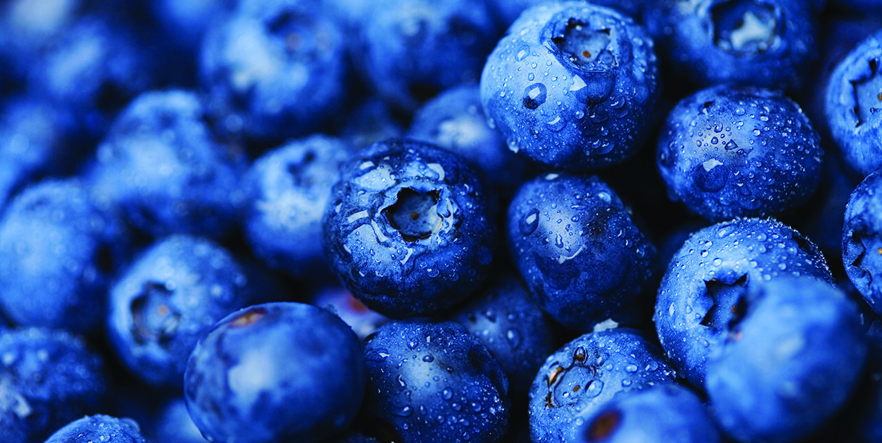 The Nutritional Benefits of Blueberries