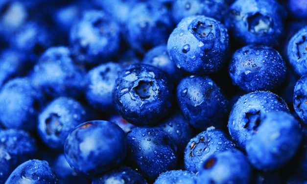 The Nutritional Benefits of Blueberries