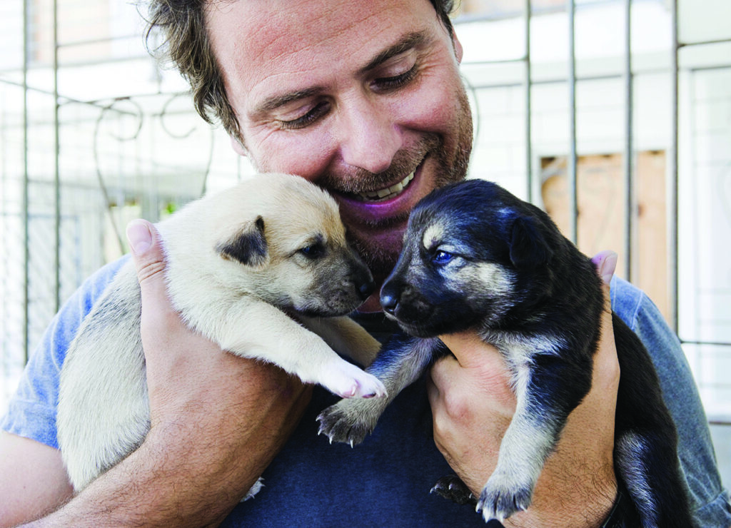 Why to Use Crates When Training Puppies Buffalo Healthy Living Magazine