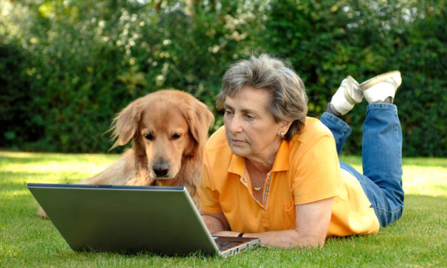 Your Dog’s Lifespan May Be Different Than You Think
