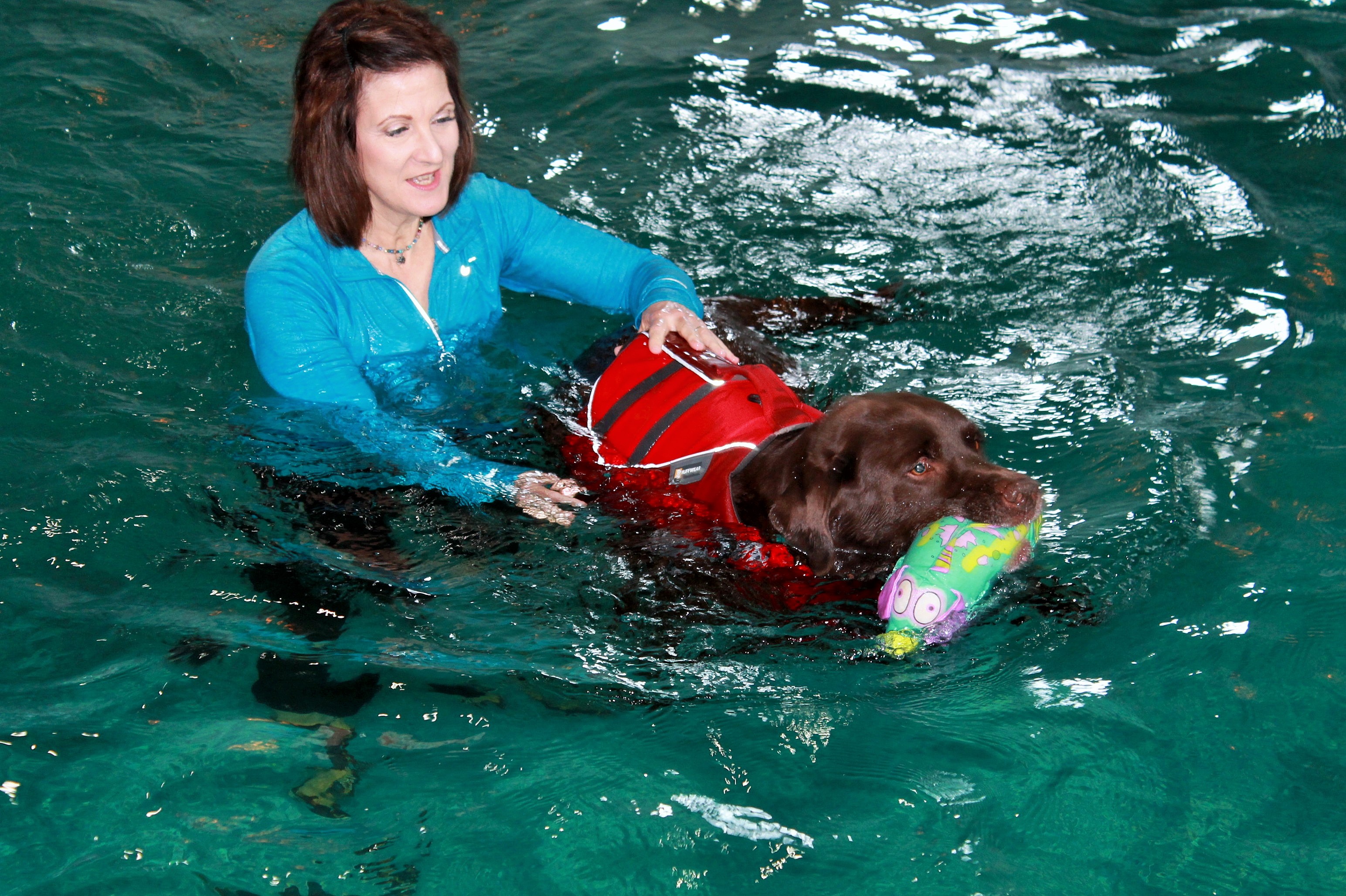 Swim Therapy for Canines!