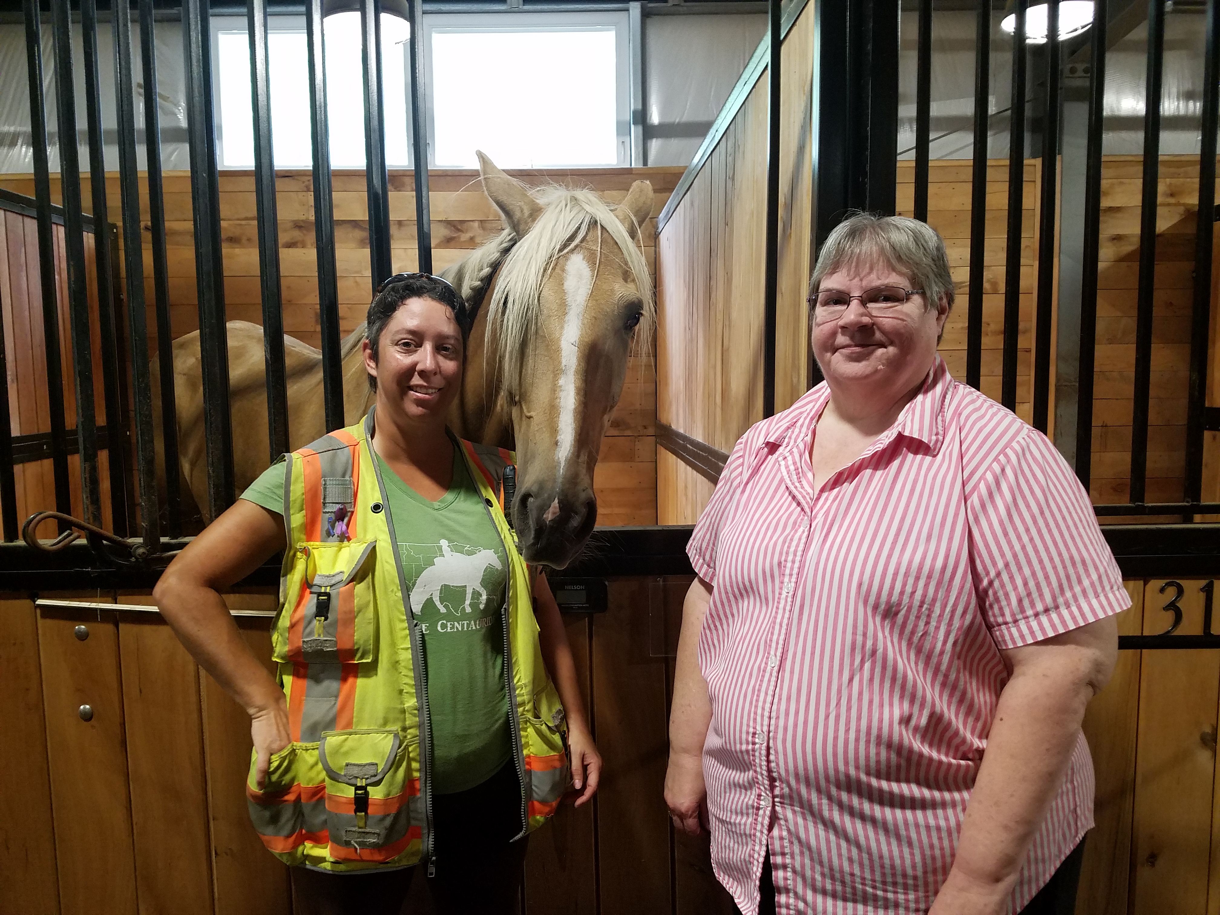 Homestead Stables by Heritage Hosts Equine Ambassador Riding for Domestic Violence Awareness