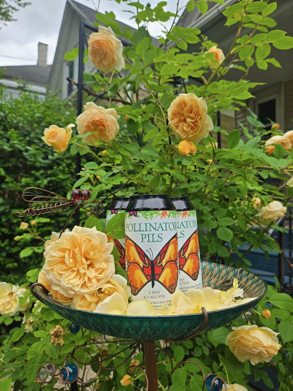 Cool Down with Pollinator Pils While Exploring Gardens Buffalo Niagara’s Summer Season