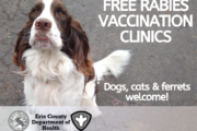 Free Drive-Thru Rabies Vaccination Clinics for May