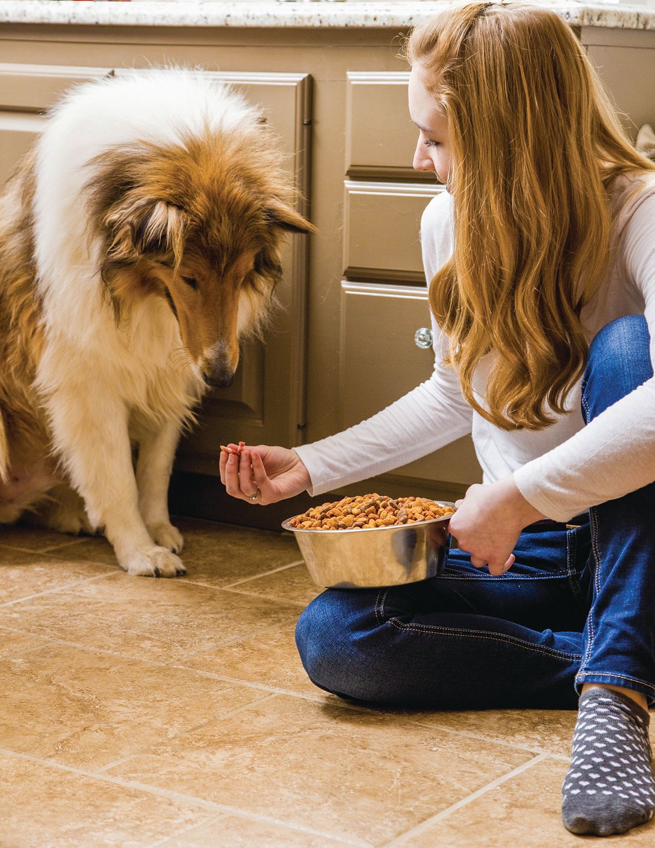 Picky Pooches: Solutions for Finicky Eaters