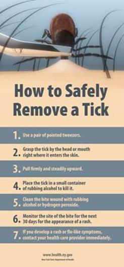 Protect Yourself from Ticks