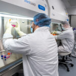 Next ‘Eureka Moment’ in Tumor Treatment?